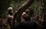 Des jeunes pygmées Bayaka posent pour une photo, dans la forêt, le 13 mars 2020 à Bayanga