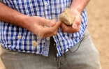 Un maraîcher effrite un morceau de terre sèche prélevé dans un champ qu'il doit irriguer pour faire pousser ses légumes, à Carnin (Nord), le 20 mai 2025