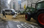 Manifestation des organisations paysannes "Fédération Unie de Groupements d'Eleveurs et d'Agriculteurs" (FUGEA), Boerenforum et MAP, à Bruxelles, le 26 février 2024