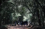 Un groupe de marcheurs dans la forêt de Karura, le 17 septembre 2019 à Nairobi, au Kenya