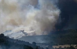 Un Canadair CL-415 de la Sécurité civile en action au-dessus d'un feu de forêt au col des Auzines, près de Trevillach, dans les Pyrénées-Orientales, le 5 juillet 2026