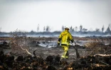 Un pompier muni d'une lance à incendie lors des opérations contre un feu de forêt dans la réserve naturelle des Hautes Fagnes, dans l'est de la Belgique, le 18 août 2026
