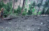 Photo transmise par les autorités pakistanaises le 26 février 2019 des dommages causés aux arbres et au terrain après une frappe de l'armée de l'air indienne à Balakot