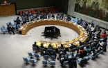 Réunion du Conseil de sécurité des Nations Unies sur la situation en Iran, le 15 janvier 2026