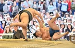 Des sumo Ă Tokyo le 15 avril 2019