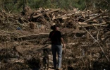 Une femme accompagnée d'un chien cherche d'éventuelles victimes dans les décombres de Burnsville, en Caroline du Nord, le 5 octobre 2024