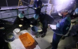 Préparatifs pour le rejet dans l'océan de l'eau stockée dans la centrale nucléaire accidentée de Fukushima, le 22 août 2023