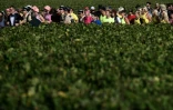 Des participants vêtus de costumes inspirés de la culture pop du cinéma participent au marathon du Médoc près de Pauillac, dans le sud-ouest de la France, le 10 septembre 2022.