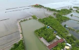 Vue aérienne de l'école (en bas) et du temple bouddhiste de Ban Khun Samut Chin, un village côtier, situé à moins de 10 km de Bangkok,  le 14 juin 2023 en Thaïlande