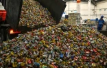 Un camion-benne déverse des canettes usagées dans un hangar de l'entreprise Latasa Garimpeiro Urbano, le 26 juin 2023 à Sao Paulo, au Brésil