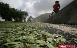 La route du littoral complètement fermée à la circulation