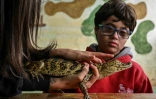 Gabriel Pinheiro assiste à une séance de thérapie avec des reptiles à la Walking Equotherapy Clinic de Sao Paulo, au Brésil, le 30 mai 2023
