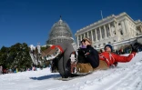 Jeux de luge, le 24 janvier 2016 à Washington