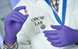 Une analyste teste un échantillon dans les laboratoires de l'Organisation internationale pour l'interdiction des armes chimiques (OIAC) le 20 avril 2018 à La Haye.