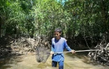 Pirun Kla-Talay, qui a perdu ses parents lors du tsunami de 2004, ramasse des crabes dans le district de Bang Wa, dans la province de Phang Nga, le 19 novembre 2024 en Thaïlande