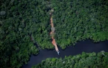 Vue aérienne d'un quai illégal aménagé sur une rivière entre Manaus et Manicoré, en Amazonie brésilienne, le 6 juin 2022