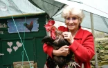 Corinne Fesseau chez elle avec son coq, Maurice, le 5 juin 2019