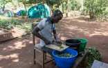 Tanguy Kponton, un formateur, prépare une soupe à un "agro-bootcamp", camp de formation à l'agro-écologie, le 16 avril 2019 à Tori-Bossito, au Bénin