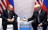 Donald Trump et Vladimir Poutine lors d'une rencontre en marge d'un sommet du G20 à Hambourg, le 7 juillet 2017