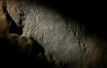 Des gravures dans la roche datant d'environ 30 000 ans lors d'une visite exclusive accordée par la DRAC de Nouvelle-Aquitaine, à l'intérieur de la grotte de Cussac, le 20 février 2025 au Buisson-de-Cadouin, en Dordogne