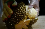 La chair d'un durian ouvert dans une échoppe chinoise, le 18 janvier 2019 à Pékin