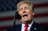 Le président américain Donald Trump à Tampa, Floride, le 31 juillet 2018