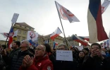 Des manifestants demandent un arrêt de l'immigration devant le hâteau de Prague le 6 février 2016