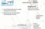 Nouvel empoisonnement au Novitchok