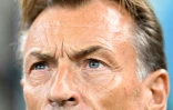 Le sélectionneur français de l'Arabie saoudite  Hervé Renard lors du match contre le Mexique au Mondial-2022 le 30 novembre 2022 à Doha