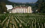 Le Château de Meursault et son vignoble, le 26 août 2025 à Meursault, en Côte d'Or