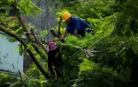 Une équipe élague des arbres avant l’arrivée de l’ouragan Melissa à Santiago de Cuba, le 25 octobre 2025.
