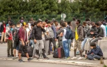 Des migrants en attente de leur transfert en Centres d'accueil et d'orientation (CAO) lors du démantèlement de la "jungle" le 13 septembre 2016 à Calais
