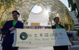 Des militants pro-environnement, le 30 novembre 2023 pendant la COP28 à Dubaï