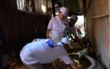Des agents sanitaires recueillent des larves de moustiques Aedes aegypti, vecteur du virus Zika, le 4 février 2015 à Phnom Penh, au Cambodge