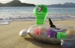 La tortue Caroline raconte ses voyages sur le site www.lesvoyagesdecaroline.com
