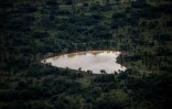 Vue aérienne d'un secteur déboisé d'Amazonie, entre Manaus et Manicoré, au Brésil, le 6 juin 2022