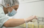 Une technicienne remplit des bouteilles avec le maternel de donneuses avant pasteurisation, au lactarium de la maternité du CHRU de Nancy, le 10 juin 2026 en Meurthe-et-Moselle