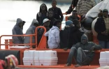 Un groupe de migrants arrive dans le port espagnol de Malaga à bord d'un bateau des garde-côtes qui les a secourus en Méditerranée le 1er janvier 2017