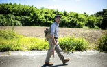 Takamatsu Gushiken se dirige vers la forêt d'Itoman pour rechercher des restes humains oubliés depuis la Seconde Guerre mondiale, dans la préfecture d'Okinawa, le 11 juin 2025 au Japon