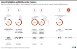 Les principales "extinctions de masse"
