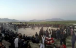 Des fermiers afghans fêtent une récolte de pavot exceptionnelle le 29 avril 2016 à Naqil