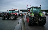 Des agriculteurs inspectent des camions transportant des produits étrangers lors d'une manifestation au port du Havre contre l'accord Mercosur, le 12 février 2025