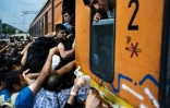 Des migrants tentent de monter dans un train le 5 aoput 2015 à Gevgelija à la frontière entre la Macédoine et la Grèce