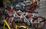 Des bicyclettes des sociétés de vélopartage Mobike et Ofo alignées le 31 janvier 2017 dans une rue de Shanghai