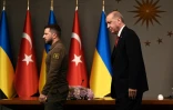 Le président ukrainien Volodymyr Zelensky et son homologue turc Recep Tayyip Erdogan, le 7 juillet 2023 à Istanbul