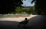 Un homme à l'ombre pendant un épisode de canicule à Paris, le 23 juin 2026