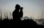 Sean Ronayne observe des oiseaux avec ses jumelles, sur la plage de Ballycotton, près de Cobh, le 3 avril 2025