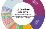 Le Covid-19 par pays