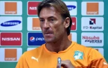 Le Français Hervé Renard, sélectionneur de la Côte d'Ivoire, lors de la CAN-2015, remportée par les Eléphants