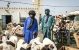Des bergers surveillent leur moutons dans l'un des principauxx marchés aux bestiaux de Dakar, à Pikine, le 7 juillet 2021.